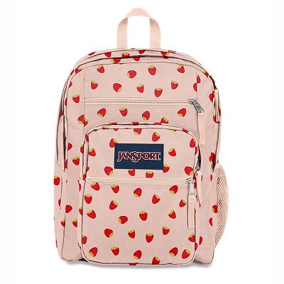 Pink JanSport BIG STUDENT Laptop Backpacks | US_JS581