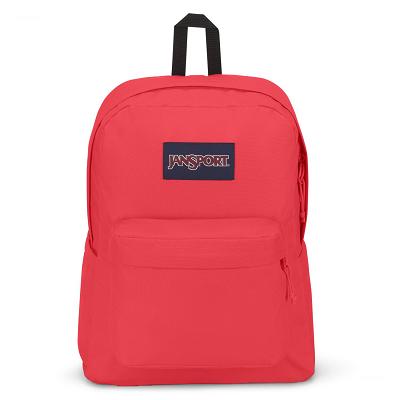 Pink JanSport SuperBreak® Plus Laptop Backpacks | US_JS282