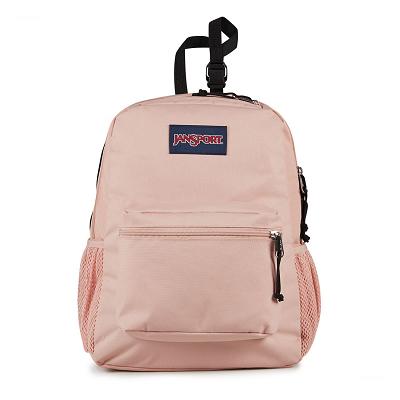 Rose JanSport CENTRAL ADAPTIVE Laptop Backpacks | US_JS17B