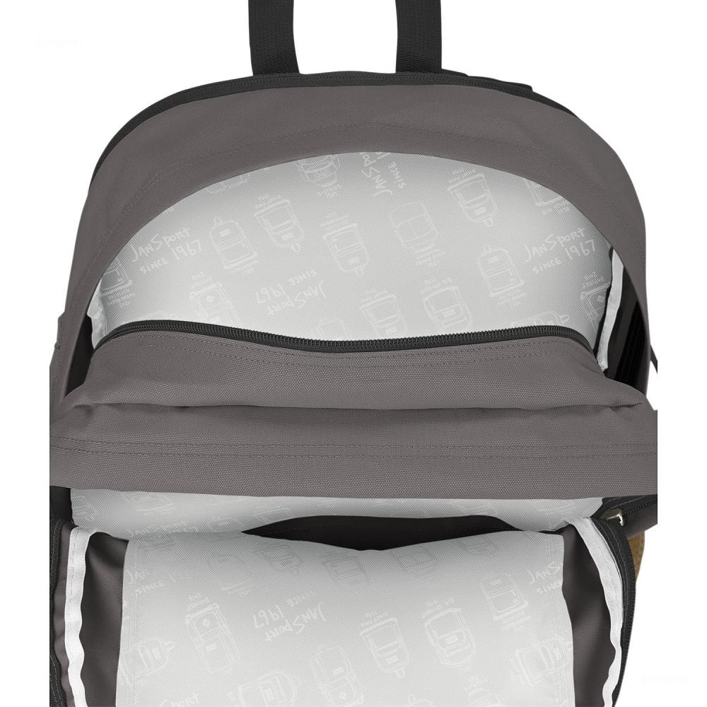 Grey JanSport Main Campus School Backpacks | US_JS519