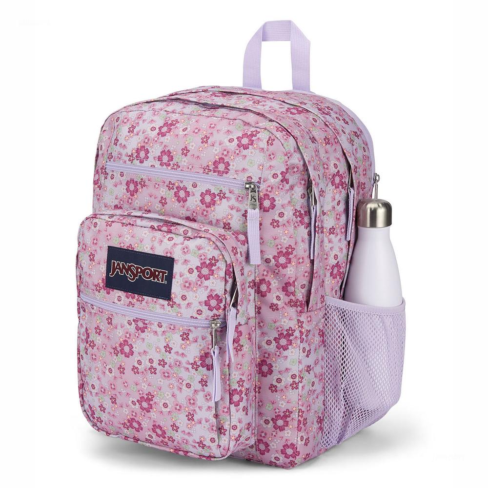 Pink JanSport BIG STUDENT Laptop Backpacks | US_JS580