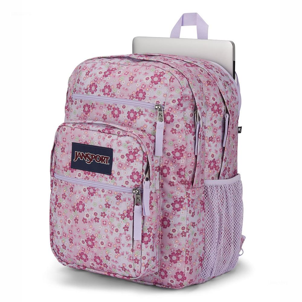 Pink JanSport BIG STUDENT Laptop Backpacks | US_JS580