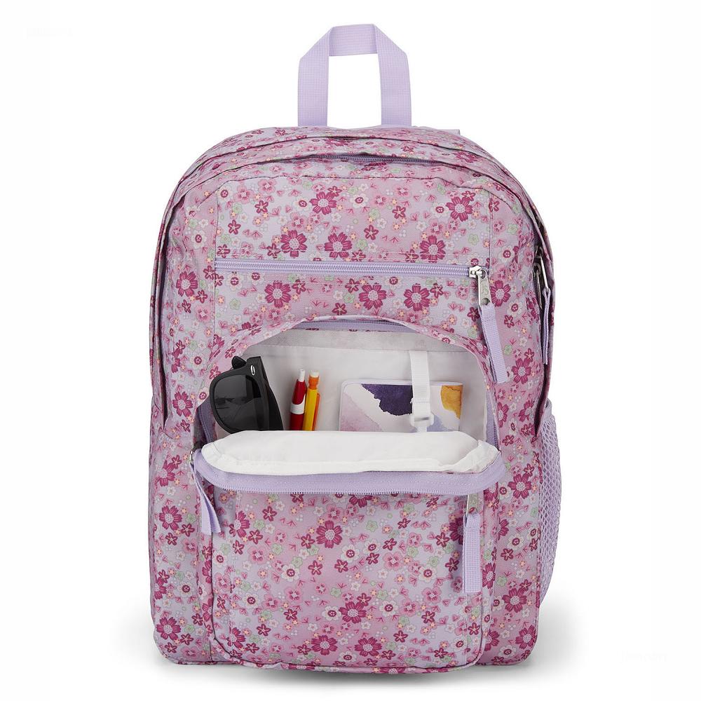 Pink JanSport BIG STUDENT Laptop Backpacks | US_JS580