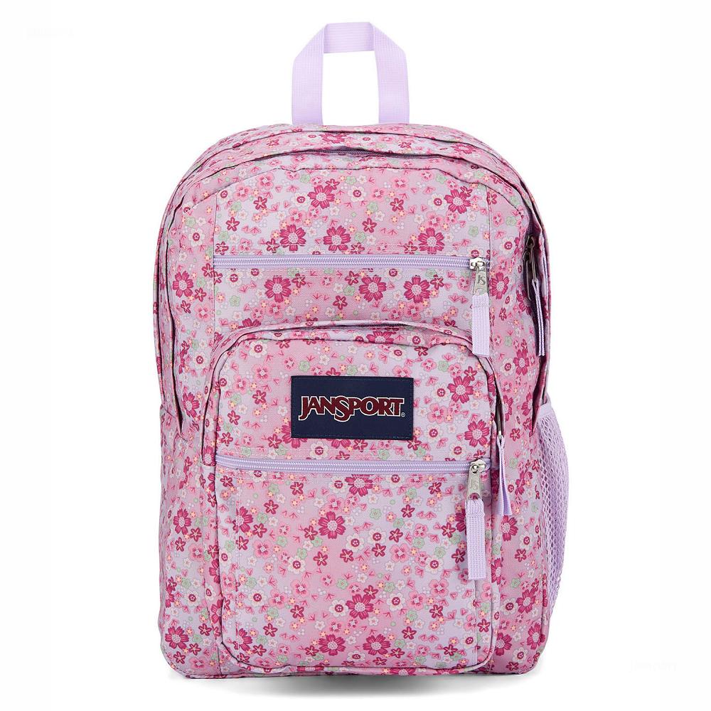 Pink JanSport BIG STUDENT Laptop Backpacks | US_JS580