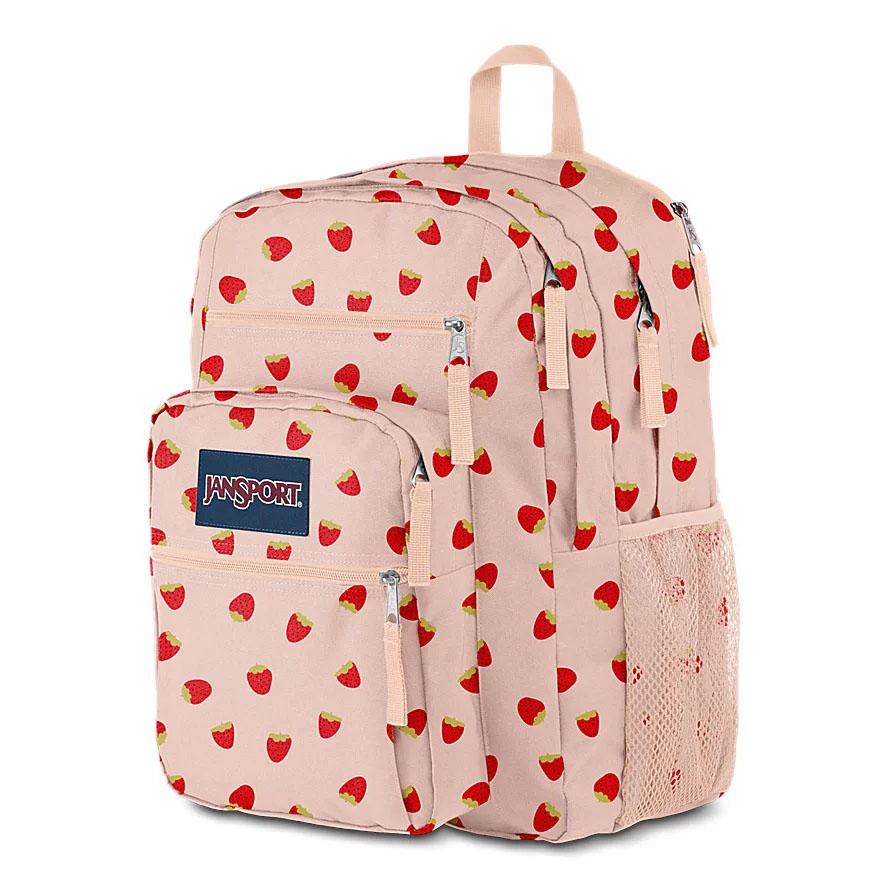 Pink JanSport BIG STUDENT Laptop Backpacks | US_JS581