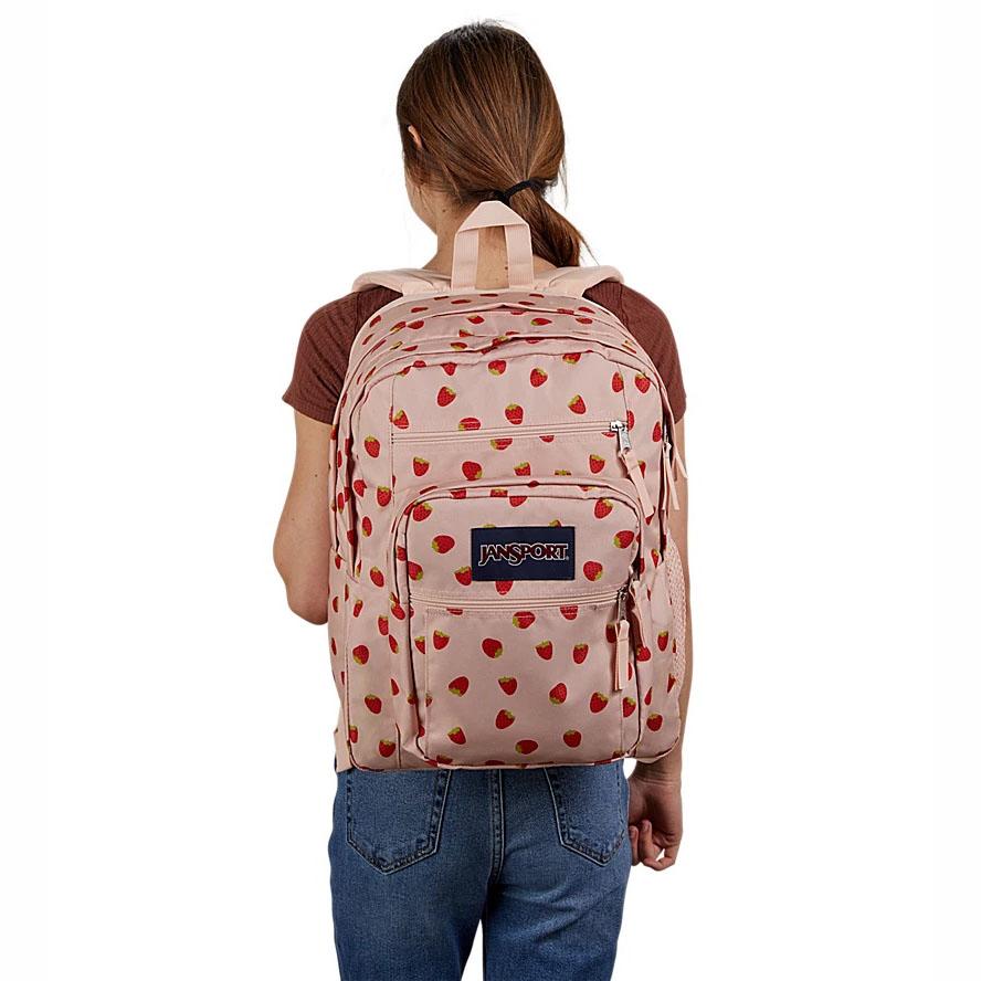 Pink JanSport BIG STUDENT Laptop Backpacks | US_JS581