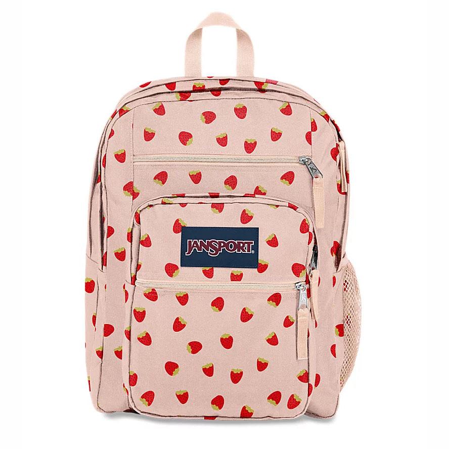 Pink JanSport BIG STUDENT Laptop Backpacks | US_JS581