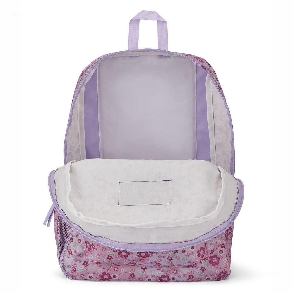 Pink JanSport CROSS TOWN School Backpacks | US_JS236