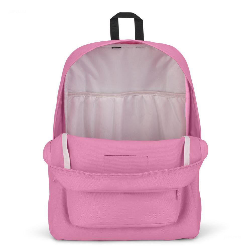 Pink JanSport SuperBreak® Plus Laptop Backpacks | US_JS028