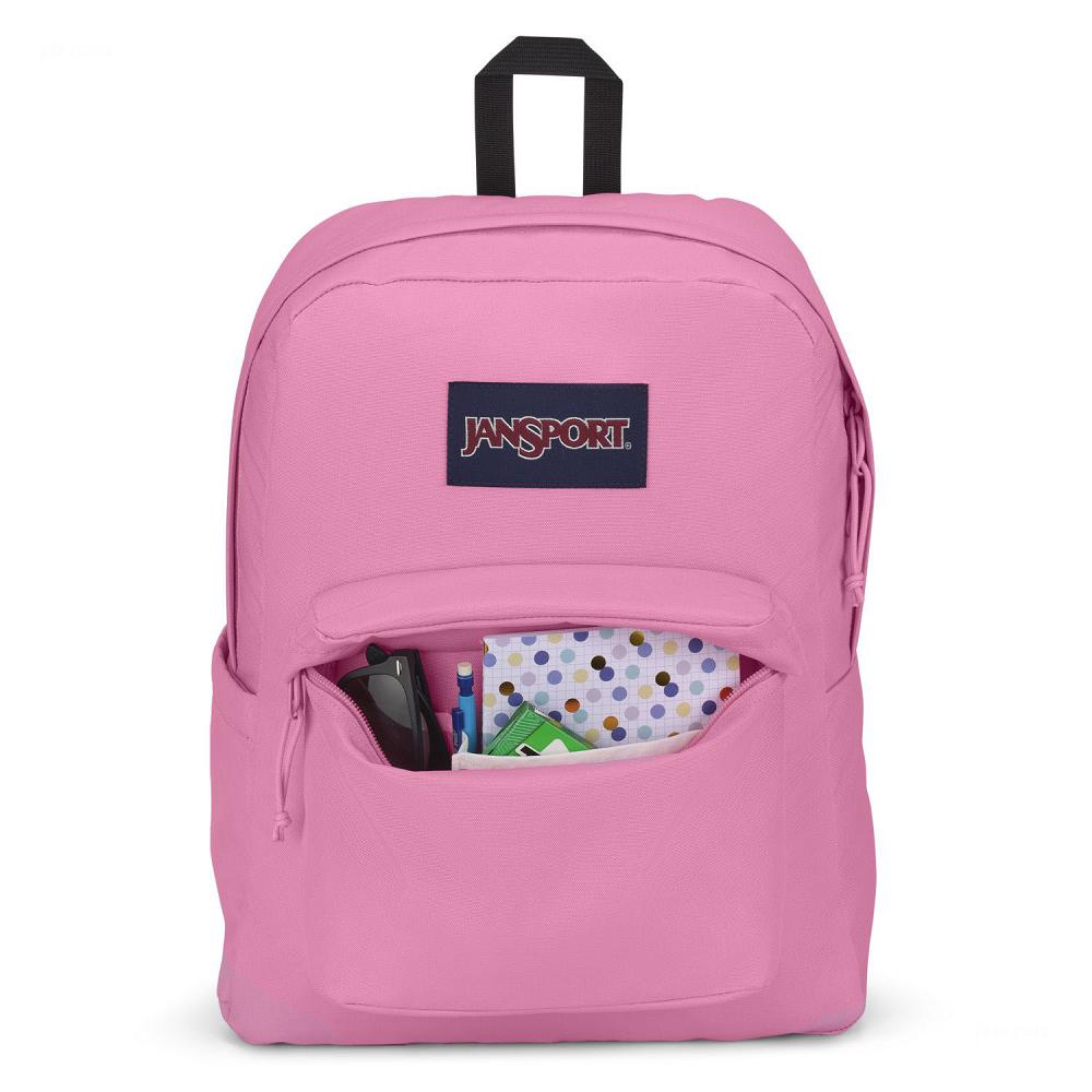 Pink JanSport SuperBreak® Plus Laptop Backpacks | US_JS028