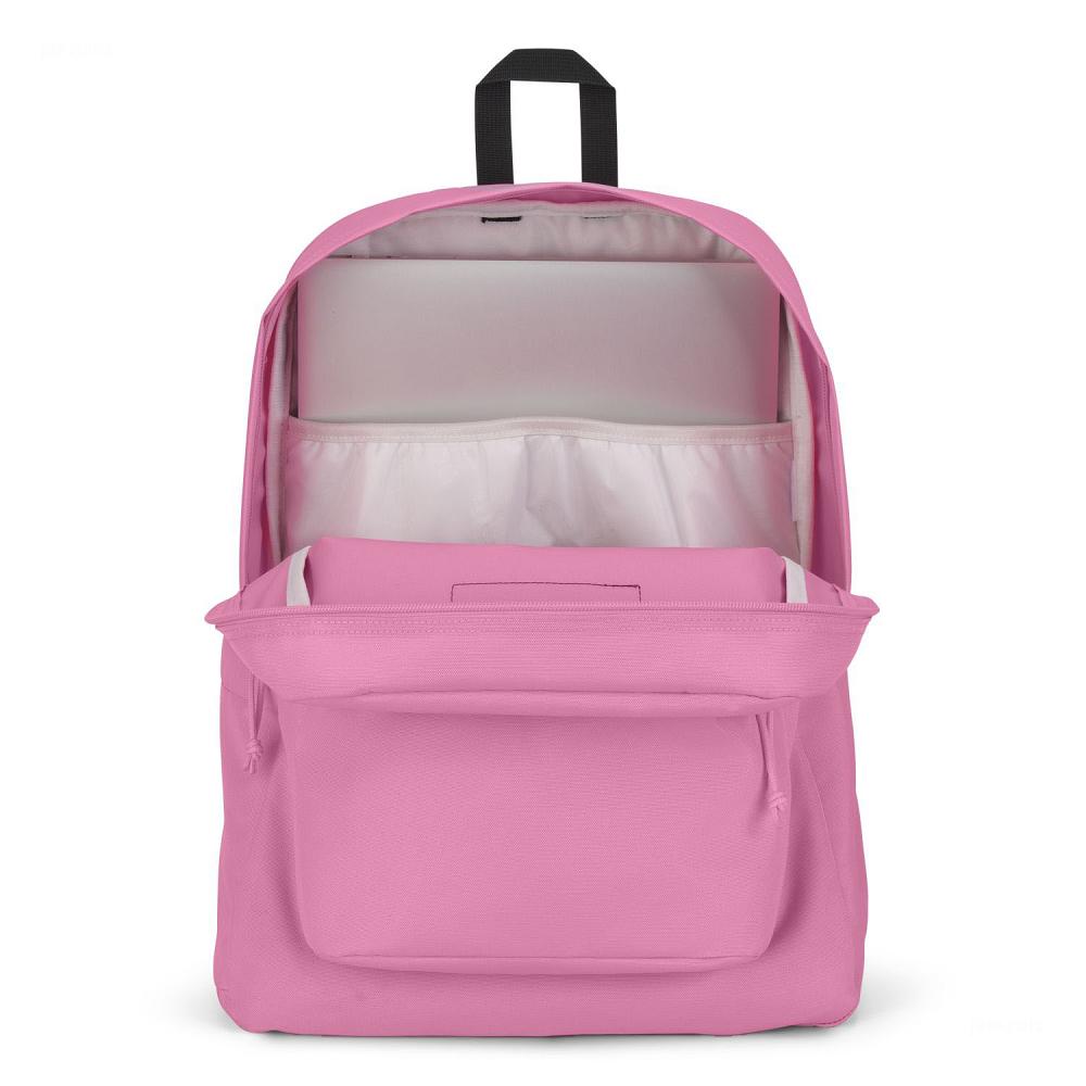 Pink JanSport SuperBreak® Plus Laptop Backpacks | US_JS028