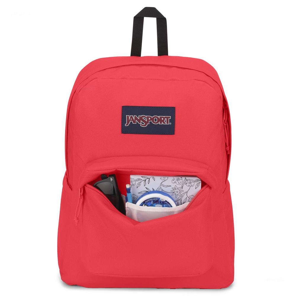 Pink JanSport SuperBreak® Plus Laptop Backpacks | US_JS282