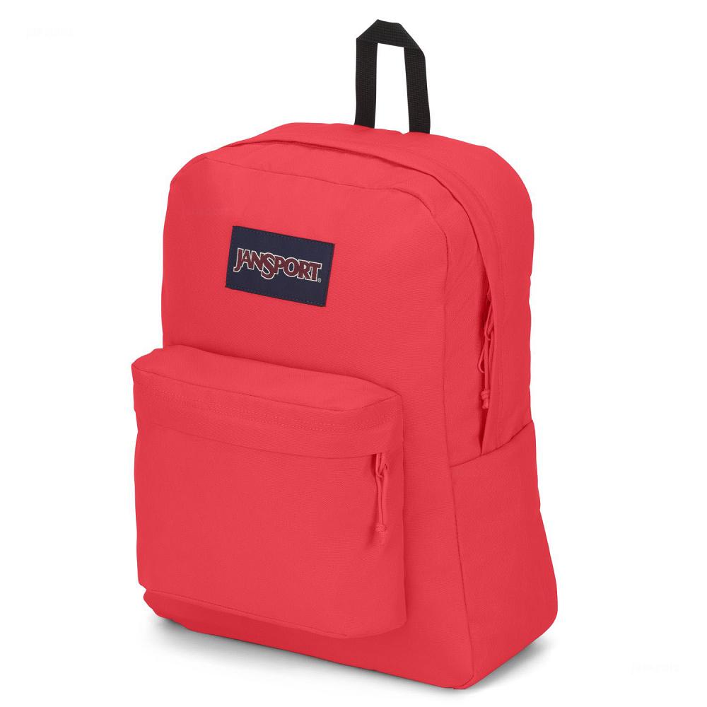 Pink JanSport SuperBreak® Plus Laptop Backpacks | US_JS282