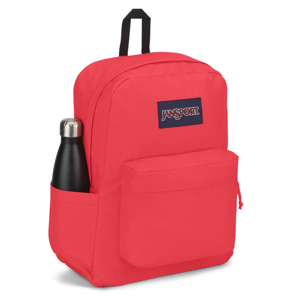 Pink JanSport SuperBreak® Plus Laptop Backpacks | US_JS282