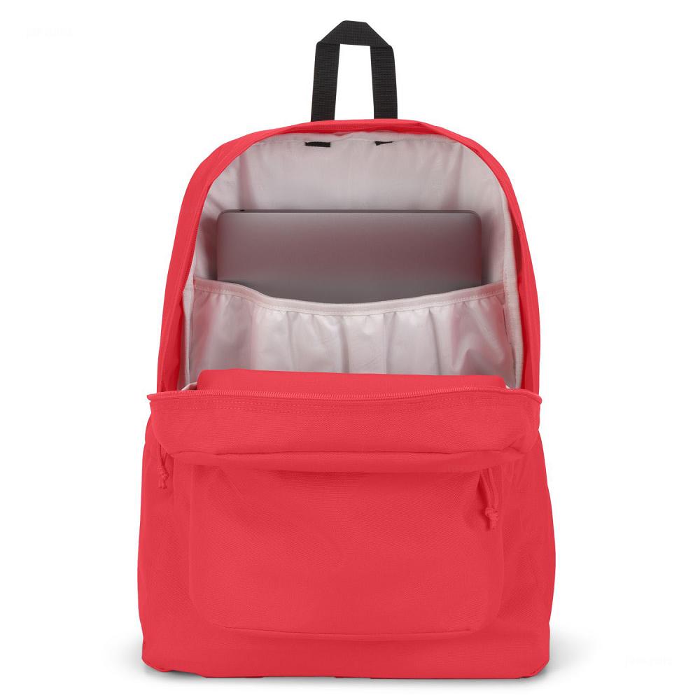 Pink JanSport SuperBreak® Plus Laptop Backpacks | US_JS282