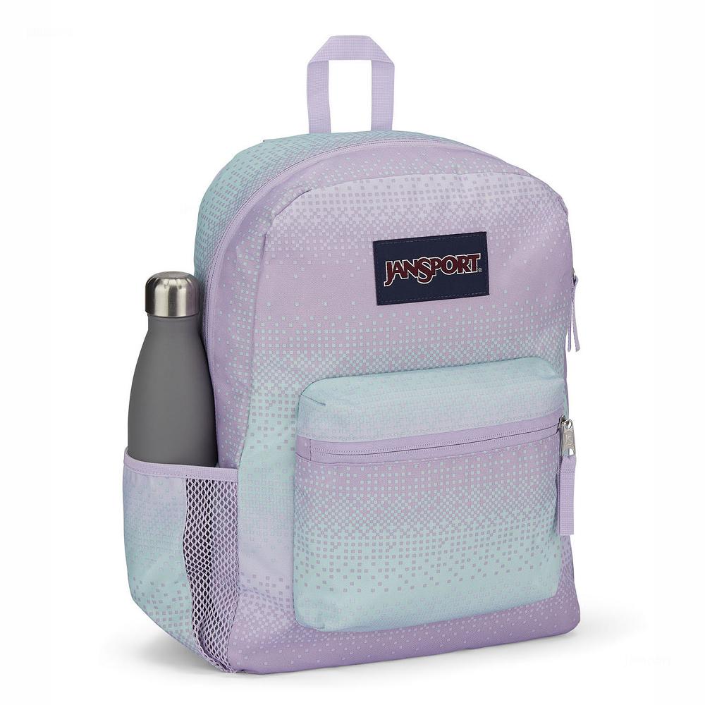 Purple / Green JanSport CROSS TOWN School Backpacks | US_JS376