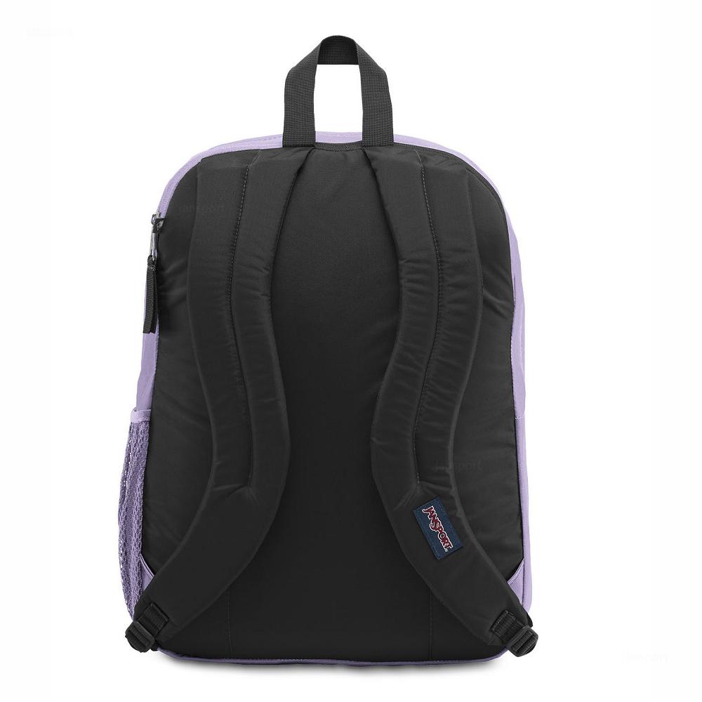 Purple JanSport BIG STUDENT Laptop Backpacks | US_JS505