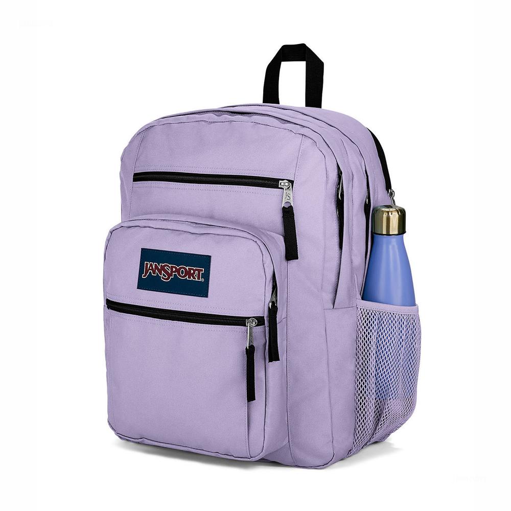 Purple JanSport BIG STUDENT Laptop Backpacks | US_JS505