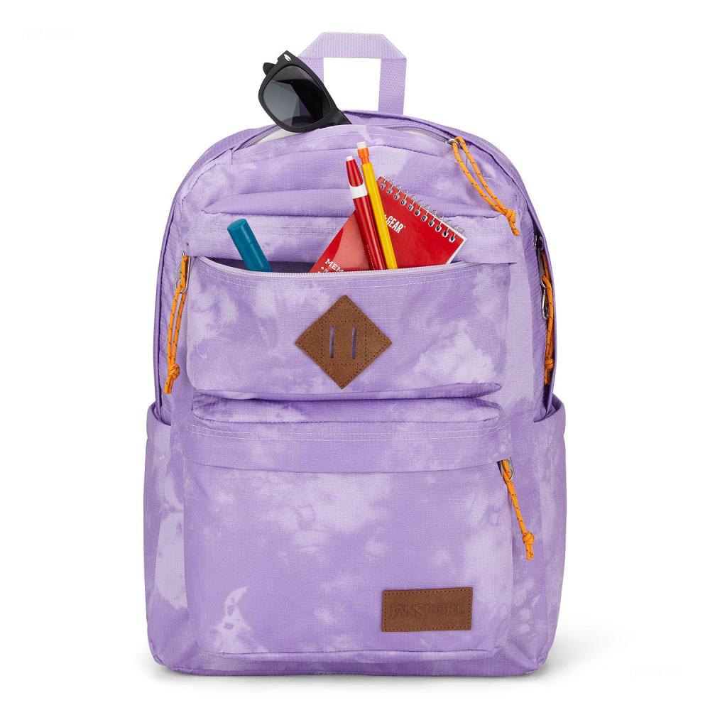 Purple JanSport Double Break Laptop Backpacks | US_JS490