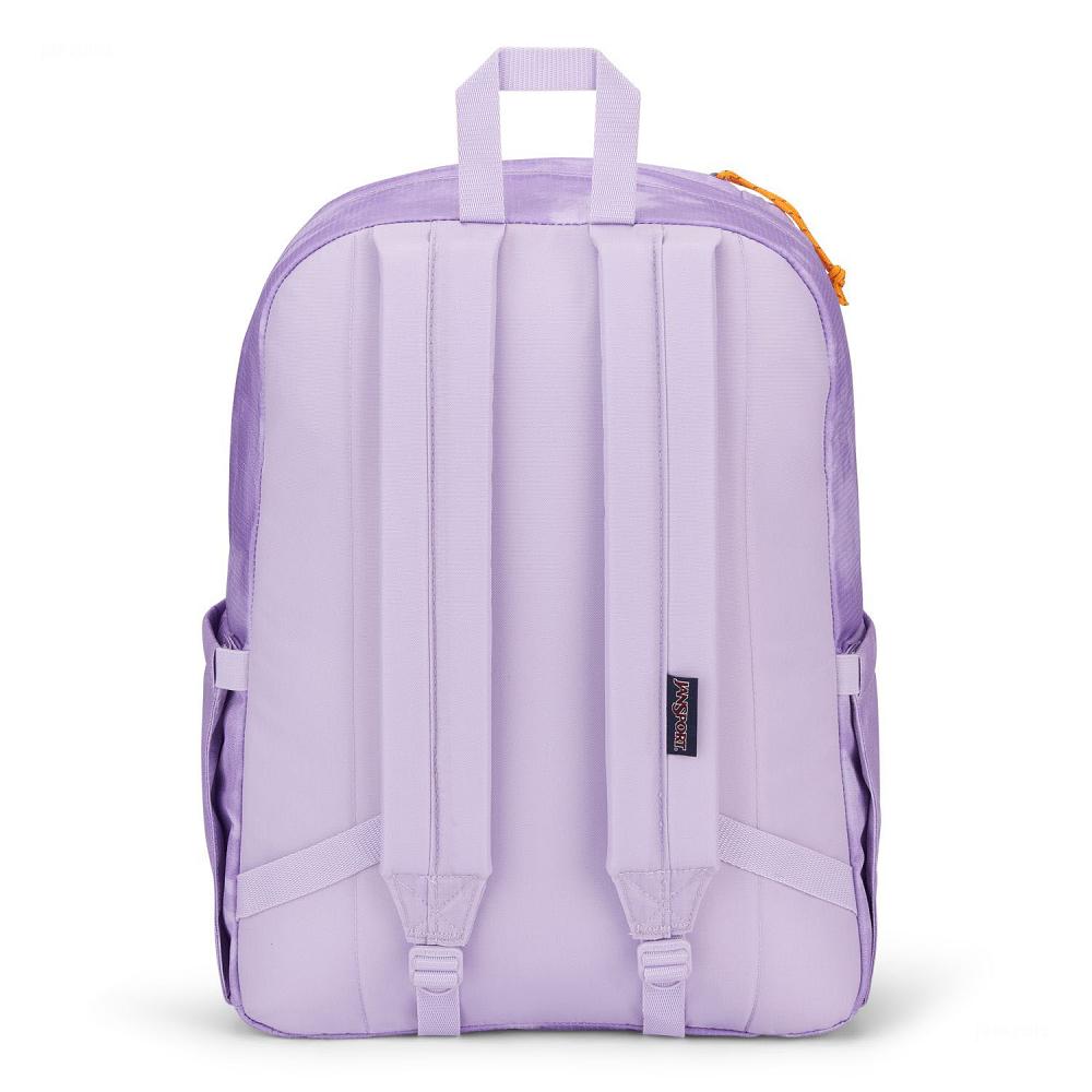 Purple JanSport Double Break Laptop Backpacks | US_JS490