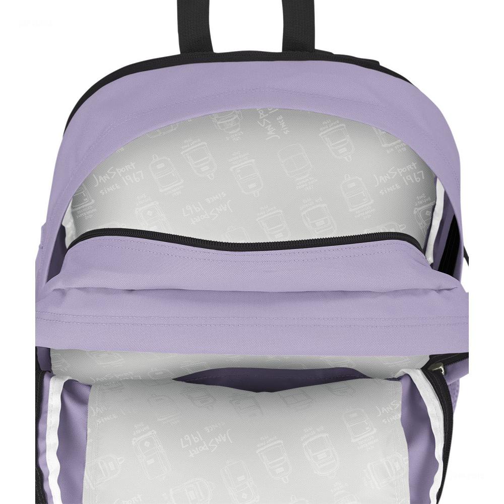 Purple JanSport Main Campus Laptop Backpacks | US_JS359