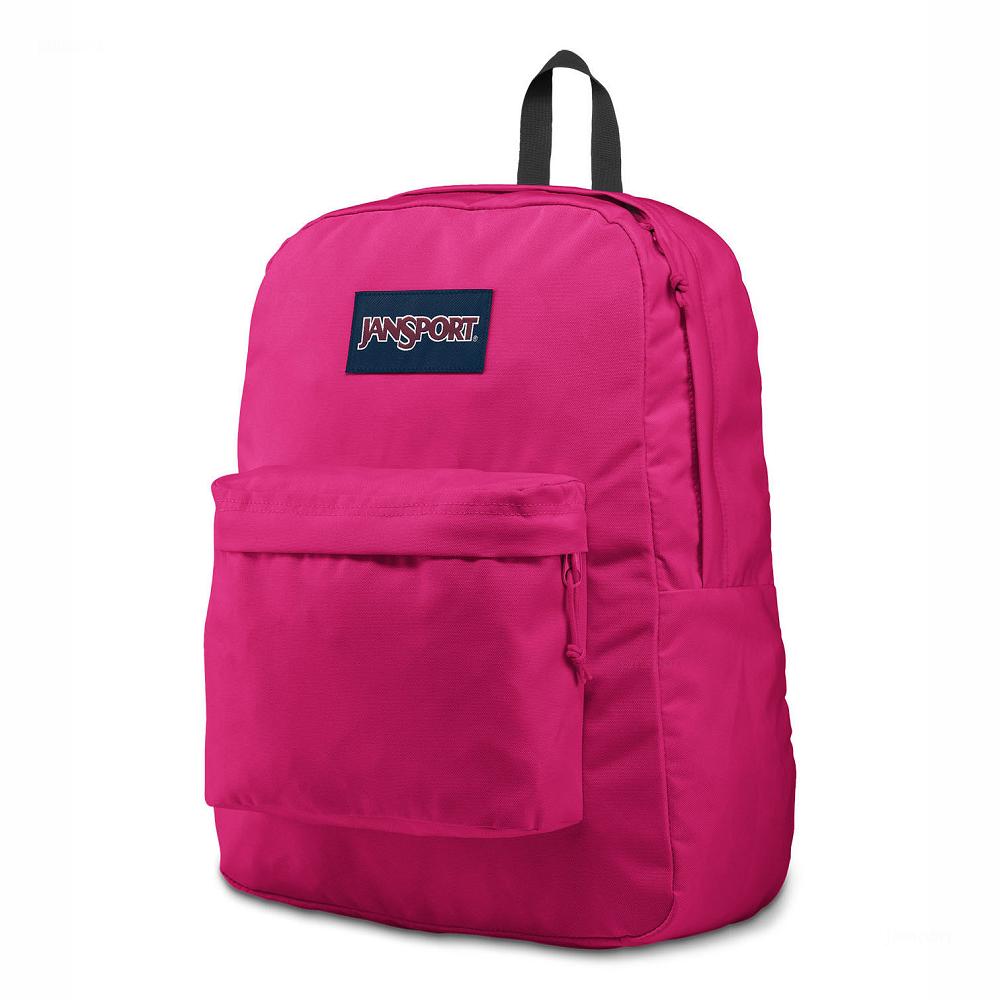 Purple JanSport SuperBreak® Plus Laptop Backpacks | US_JS559