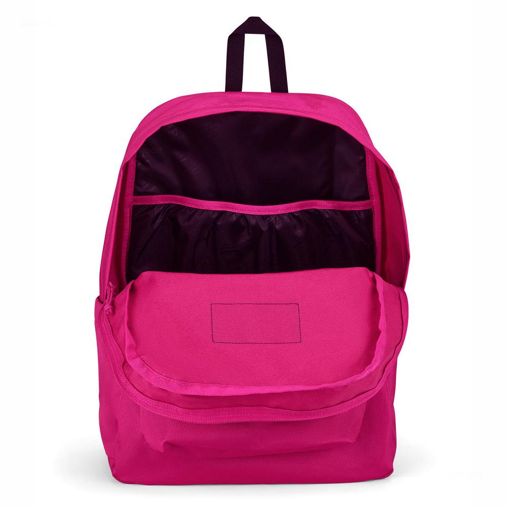 Purple JanSport SuperBreak® Plus Laptop Backpacks | US_JS559