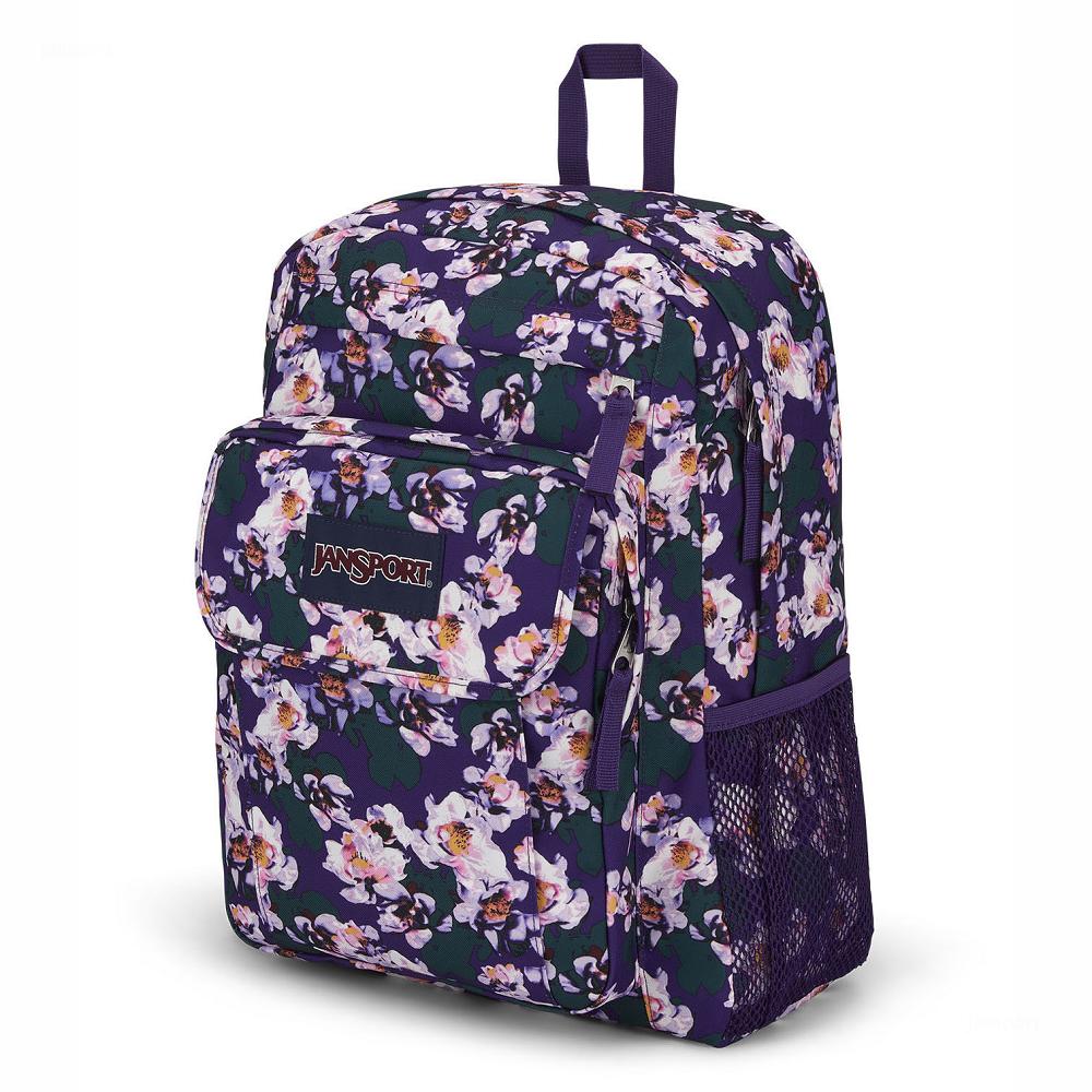 Purple JanSport UNION PACK Laptop Backpacks | US_JS436