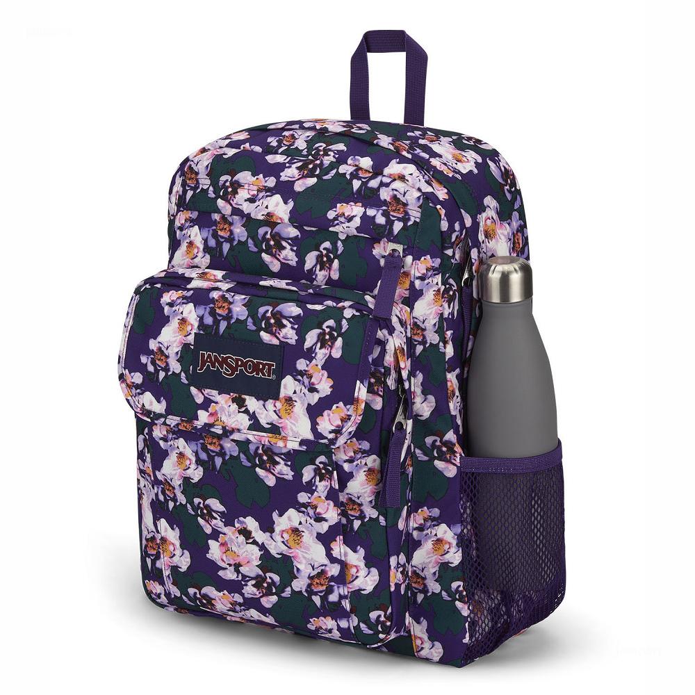 Purple JanSport UNION PACK Laptop Backpacks | US_JS436