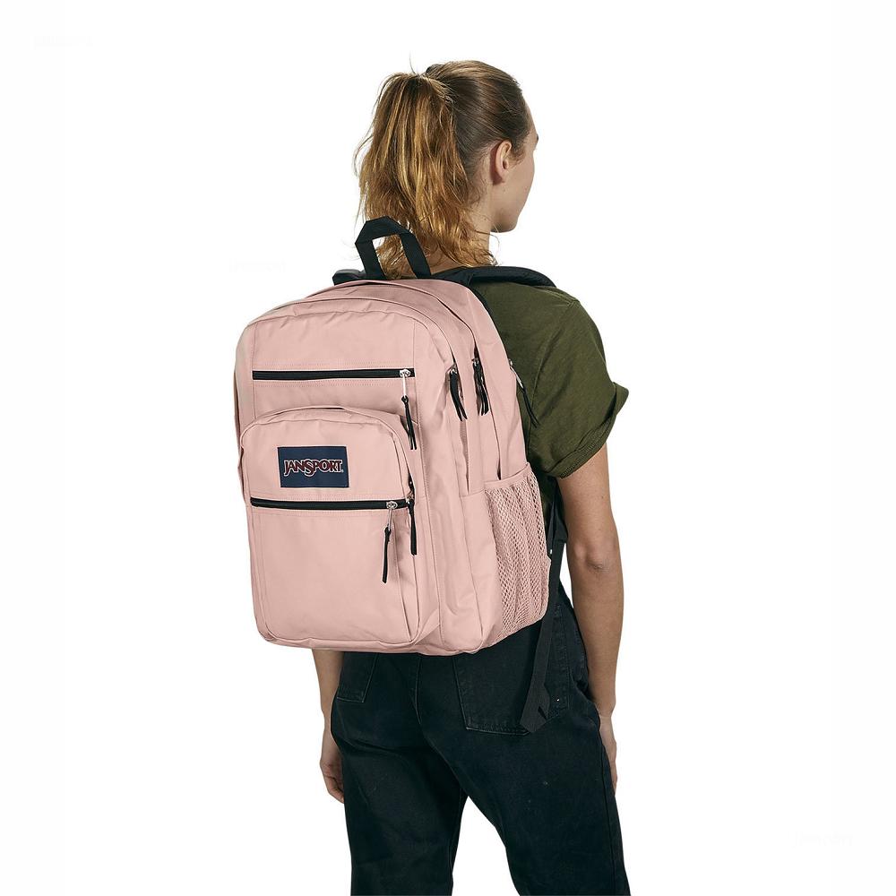 Rose JanSport BIG STUDENT Laptop Backpacks | US_JS091