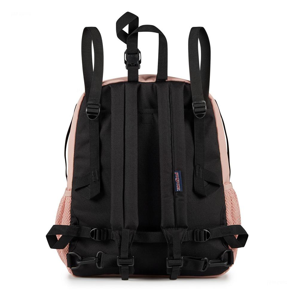 Rose JanSport CENTRAL ADAPTIVE Laptop Backpacks | US_JS17B