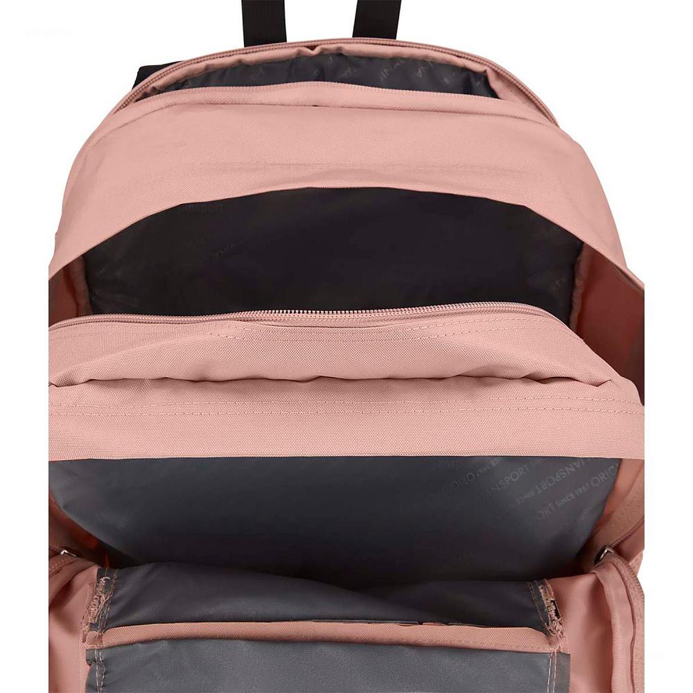 Rose JanSport Main Campus Laptop Backpacks | US_JS329