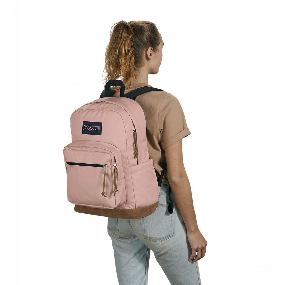 Rose JanSport Right Pack Laptop Backpacks | US_JS573