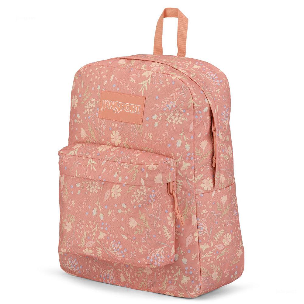 Rose JanSport SuperBreak® Plus Laptop Backpacks | US_JS591