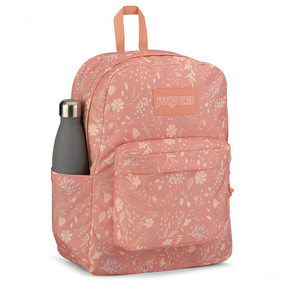 Rose JanSport SuperBreak® Plus Laptop Backpacks | US_JS591