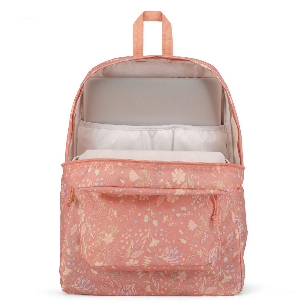 Rose JanSport SuperBreak® Plus Laptop Backpacks | US_JS591