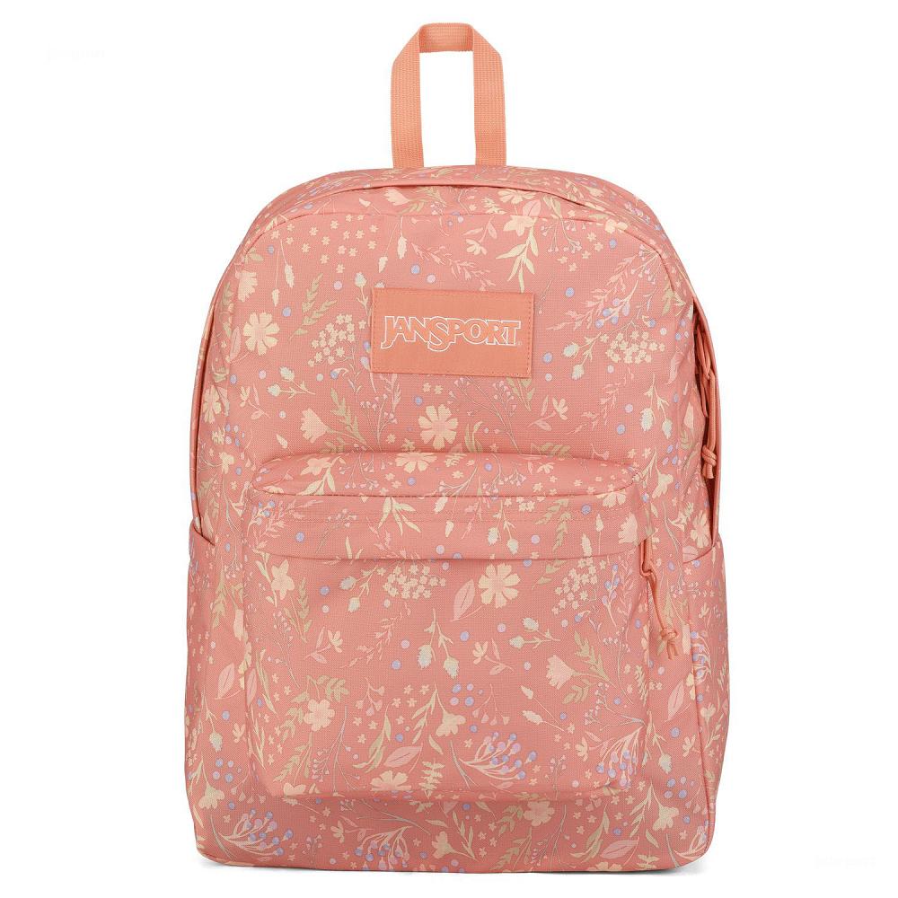 Rose JanSport SuperBreak® Plus Laptop Backpacks | US_JS591