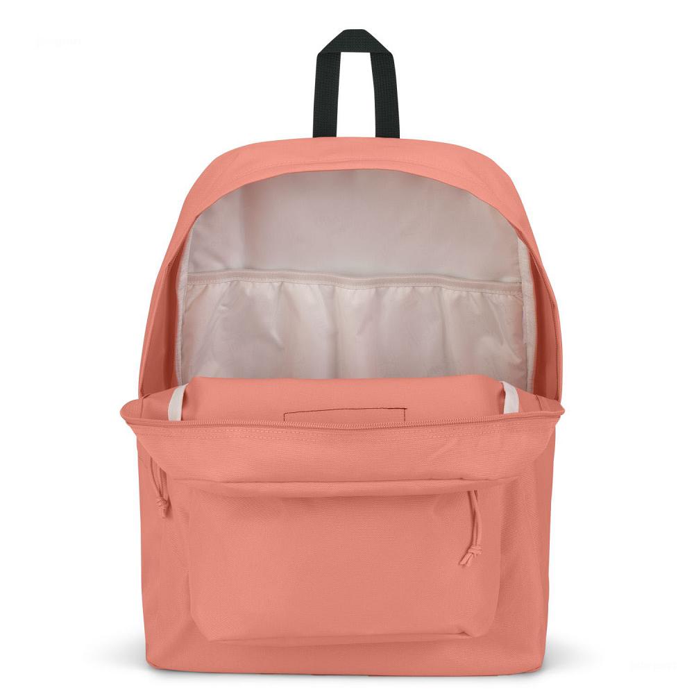 Rose JanSport SuperBreak® Plus School Backpacks | US_JS333