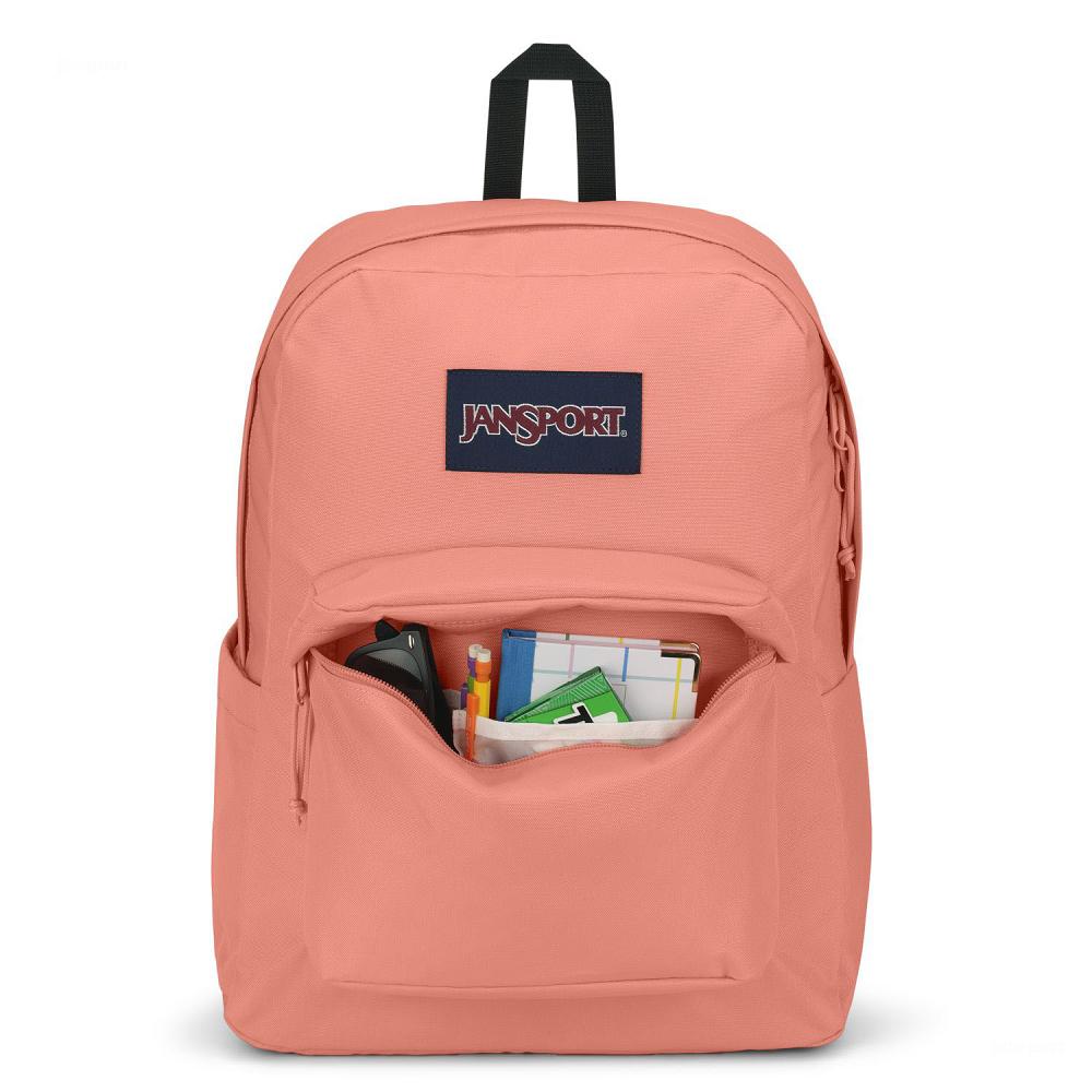 Rose JanSport SuperBreak® Plus School Backpacks | US_JS333