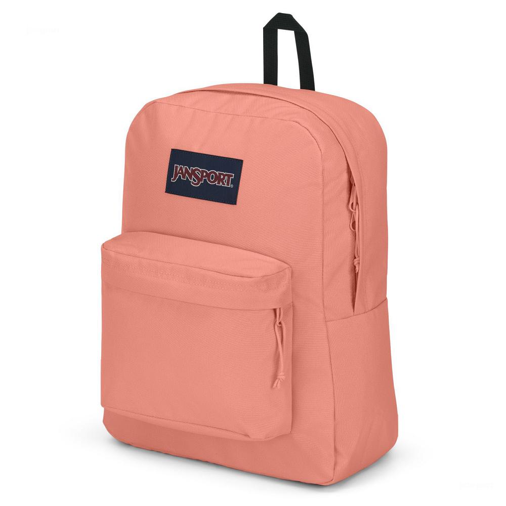 Rose JanSport SuperBreak® Plus School Backpacks | US_JS333