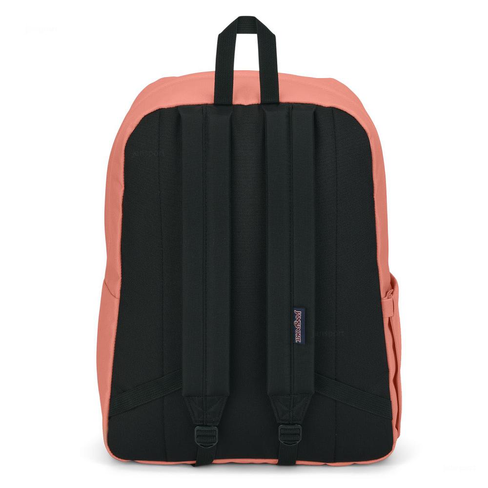 Rose JanSport SuperBreak® Plus School Backpacks | US_JS333