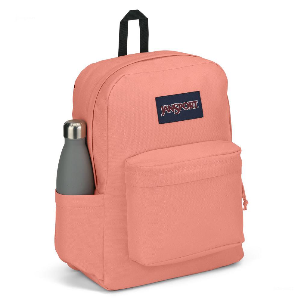 Rose JanSport SuperBreak® Plus School Backpacks | US_JS333