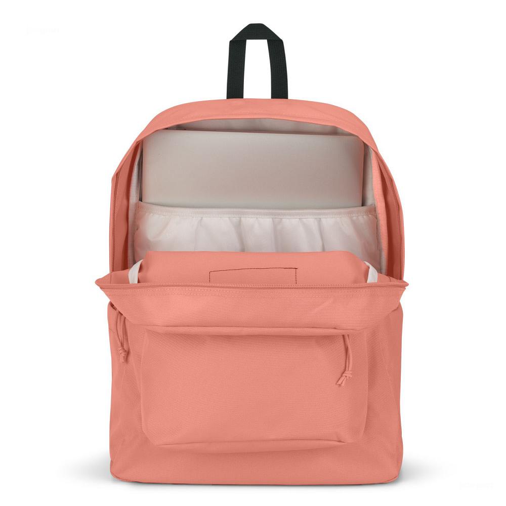 Rose JanSport SuperBreak® Plus School Backpacks | US_JS333