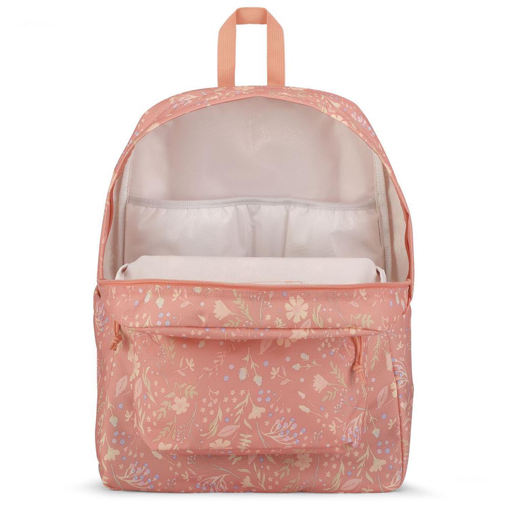 Rose JanSport SuperBreak® Plus School Backpacks | US_JS411