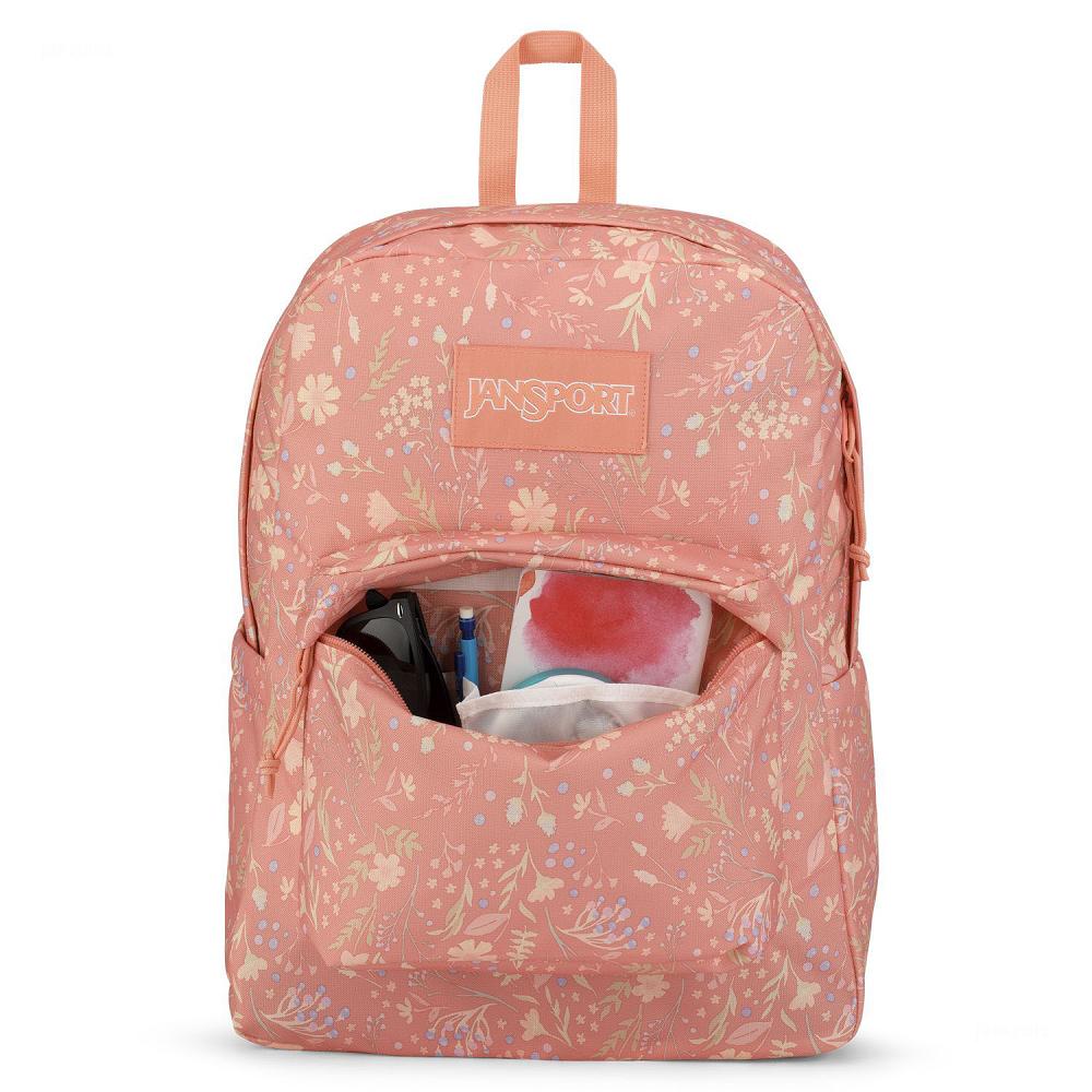 Rose JanSport SuperBreak® Plus School Backpacks | US_JS411