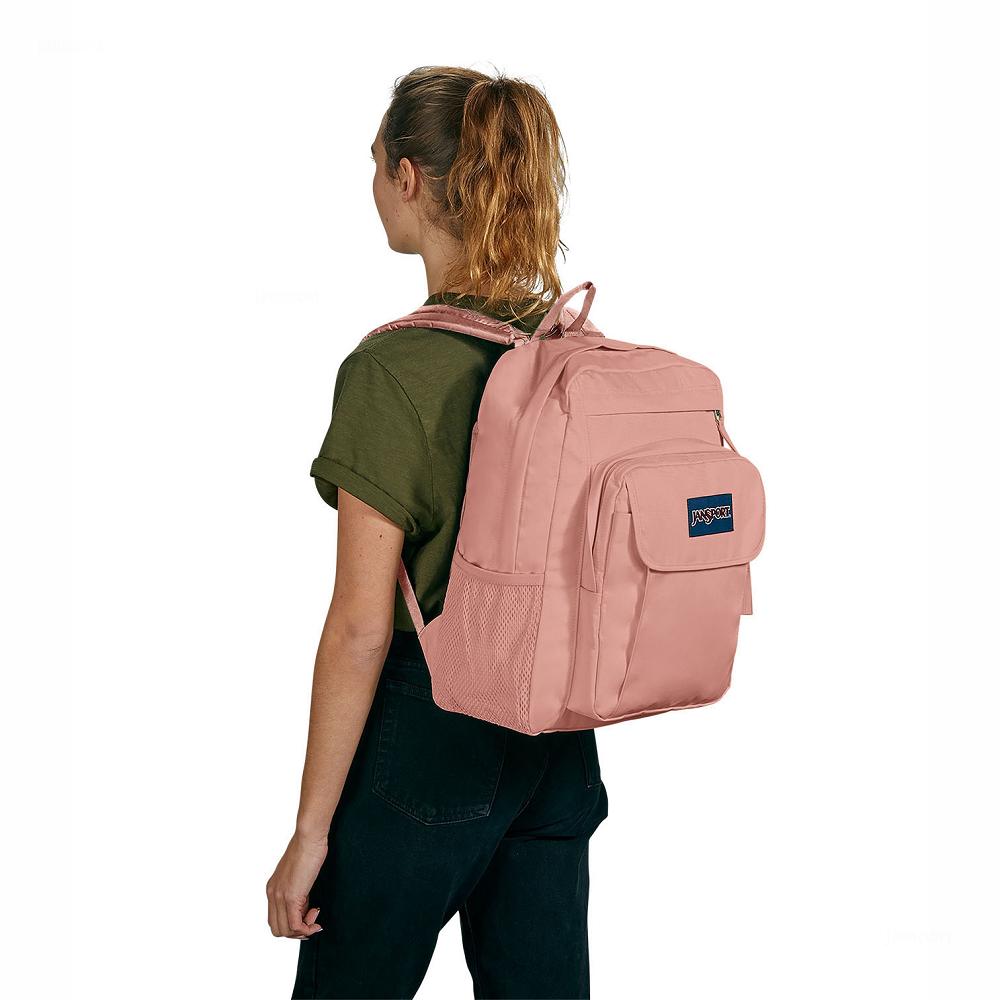 Rose JanSport UNION PACK Laptop Backpacks | US_JS010