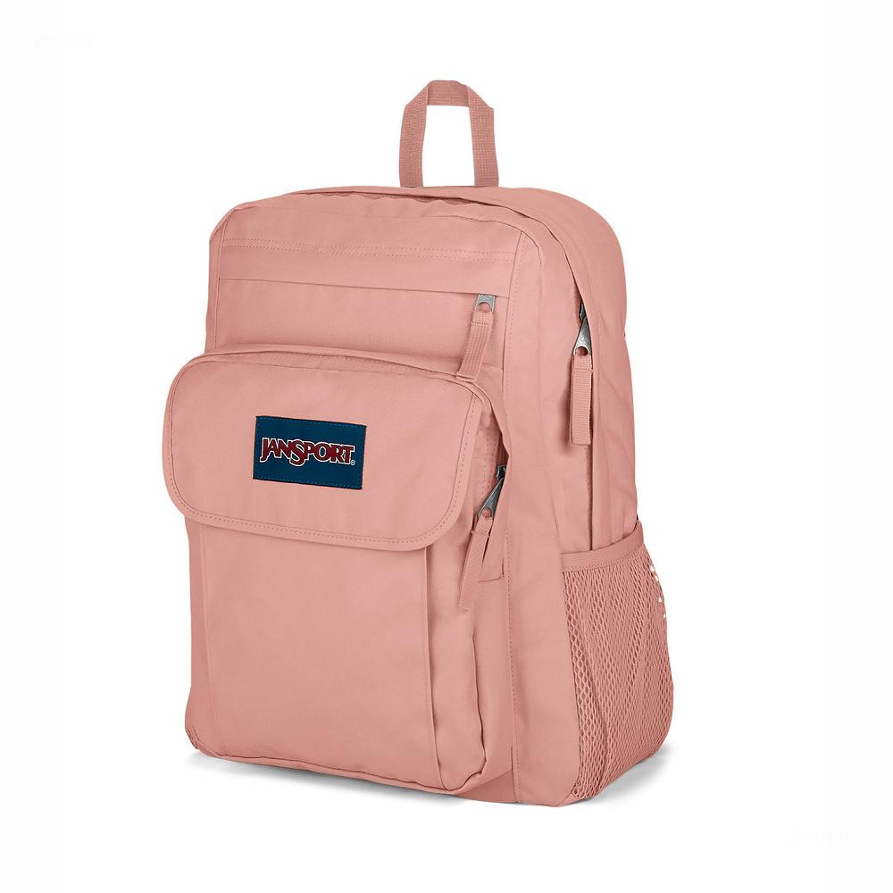 Rose JanSport UNION PACK Laptop Backpacks | US_JS010