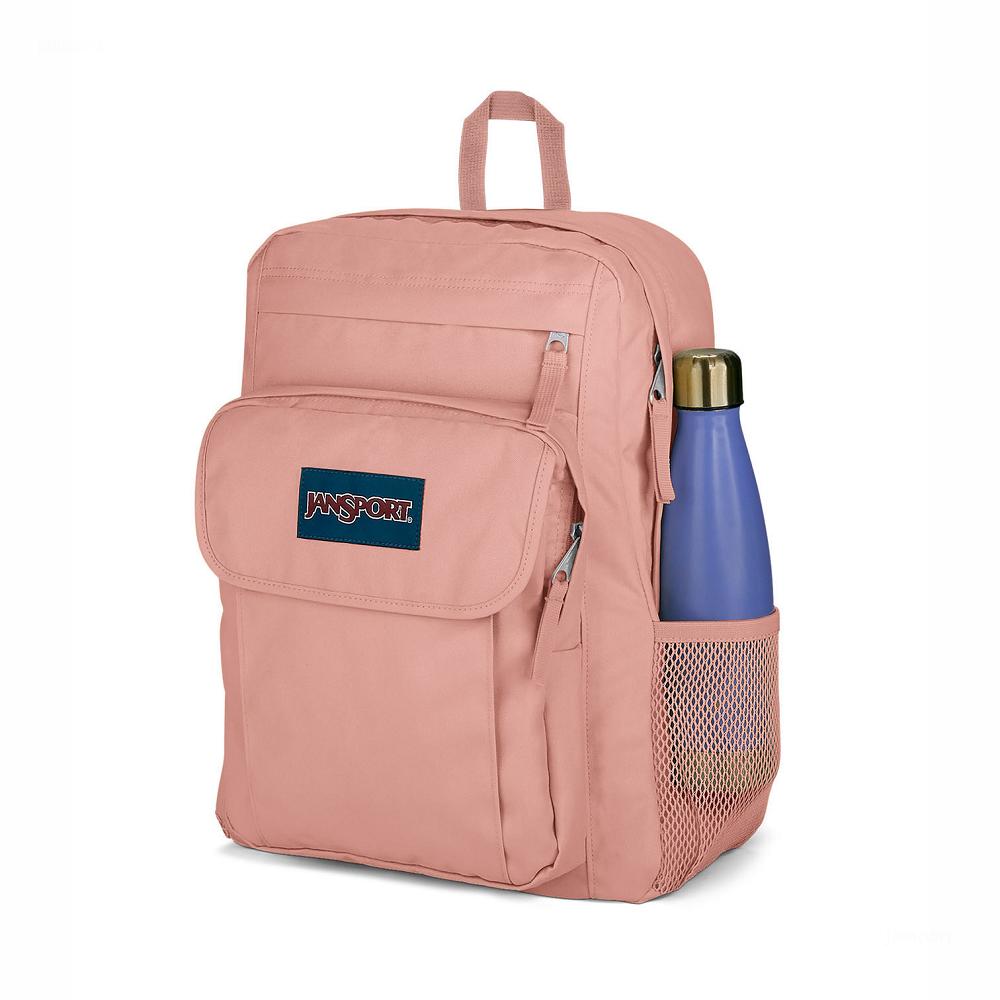 Rose JanSport UNION PACK Laptop Backpacks | US_JS010