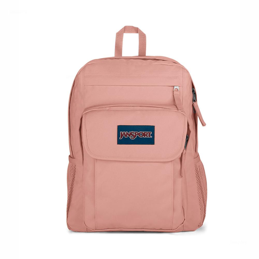 Rose JanSport UNION PACK Laptop Backpacks | US_JS010